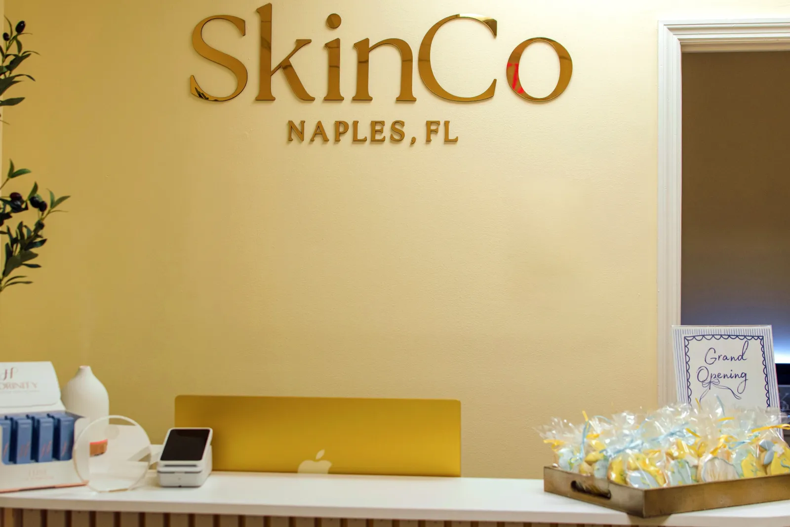 Face Reality Acne Treatment Naples FL